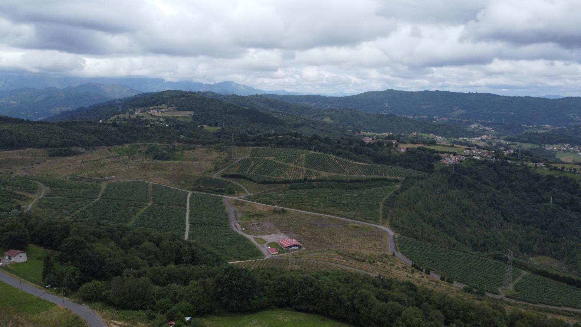 Casas o chalets-Venta-Langreo-1832535-Foto-35
