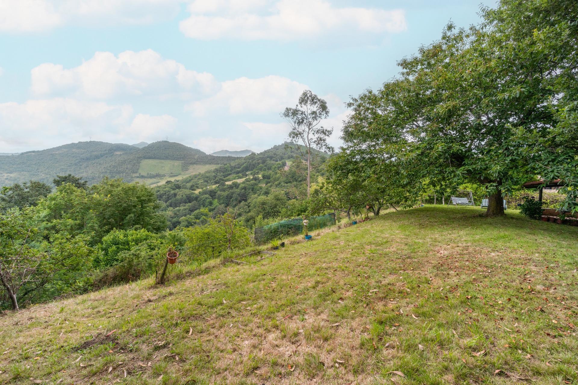 Casas o chalets-Venta-Langreo-1832535-Foto-46