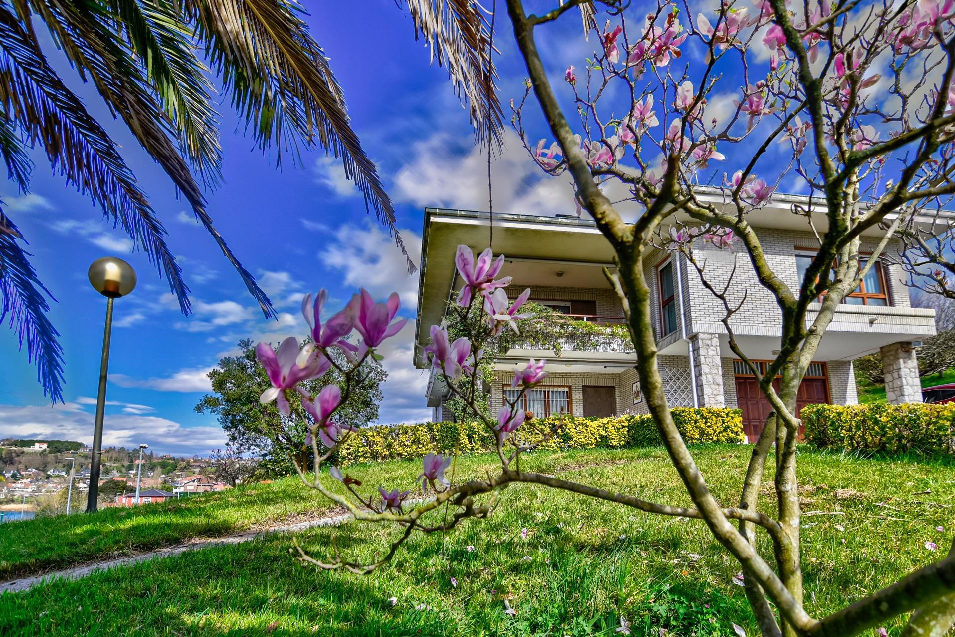 Casas o chalets-Venta-814828