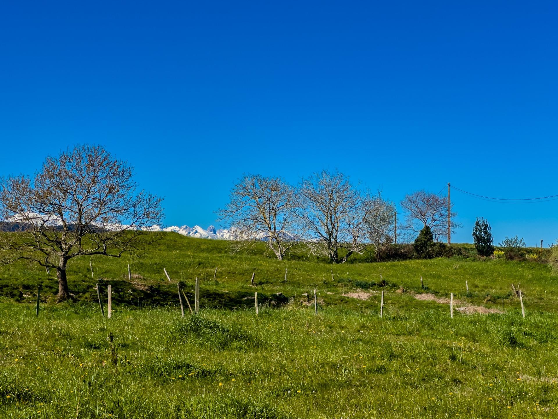 Casas o chalets-Venta-San Vicente de la Barquera-1710366-Foto-60