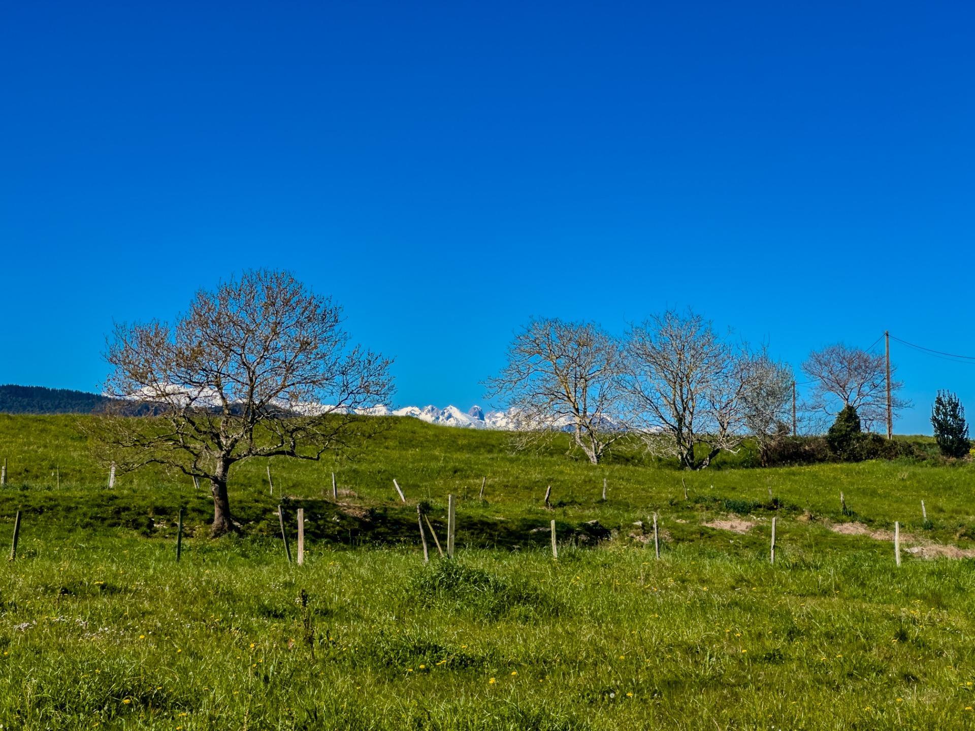 Casas o chalets-Venta-San Vicente de la Barquera-1710366-Foto-83