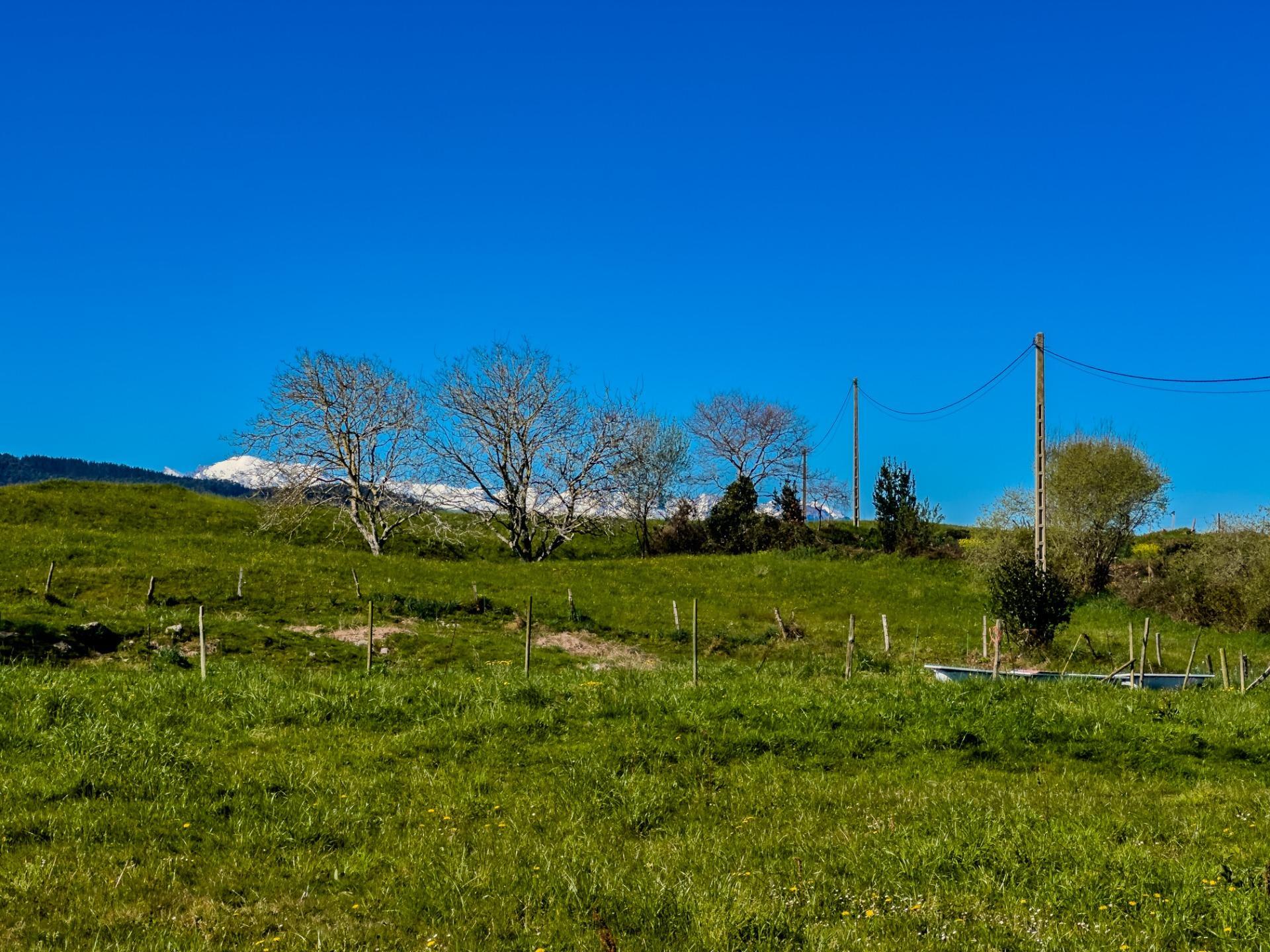 Casas o chalets-Venta-San Vicente de la Barquera-1710366-Foto-84