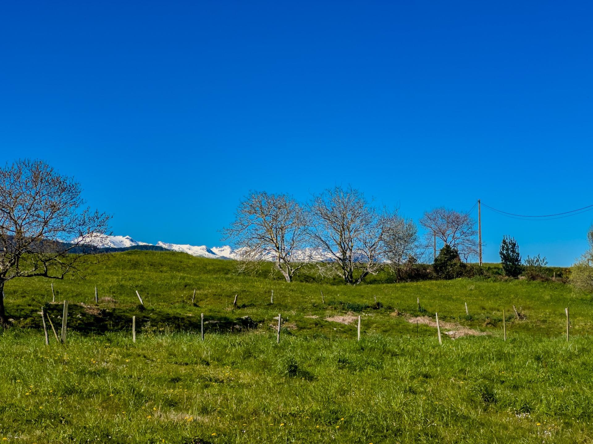 Casas o chalets-Venta-San Vicente de la Barquera-1710366-Foto-85