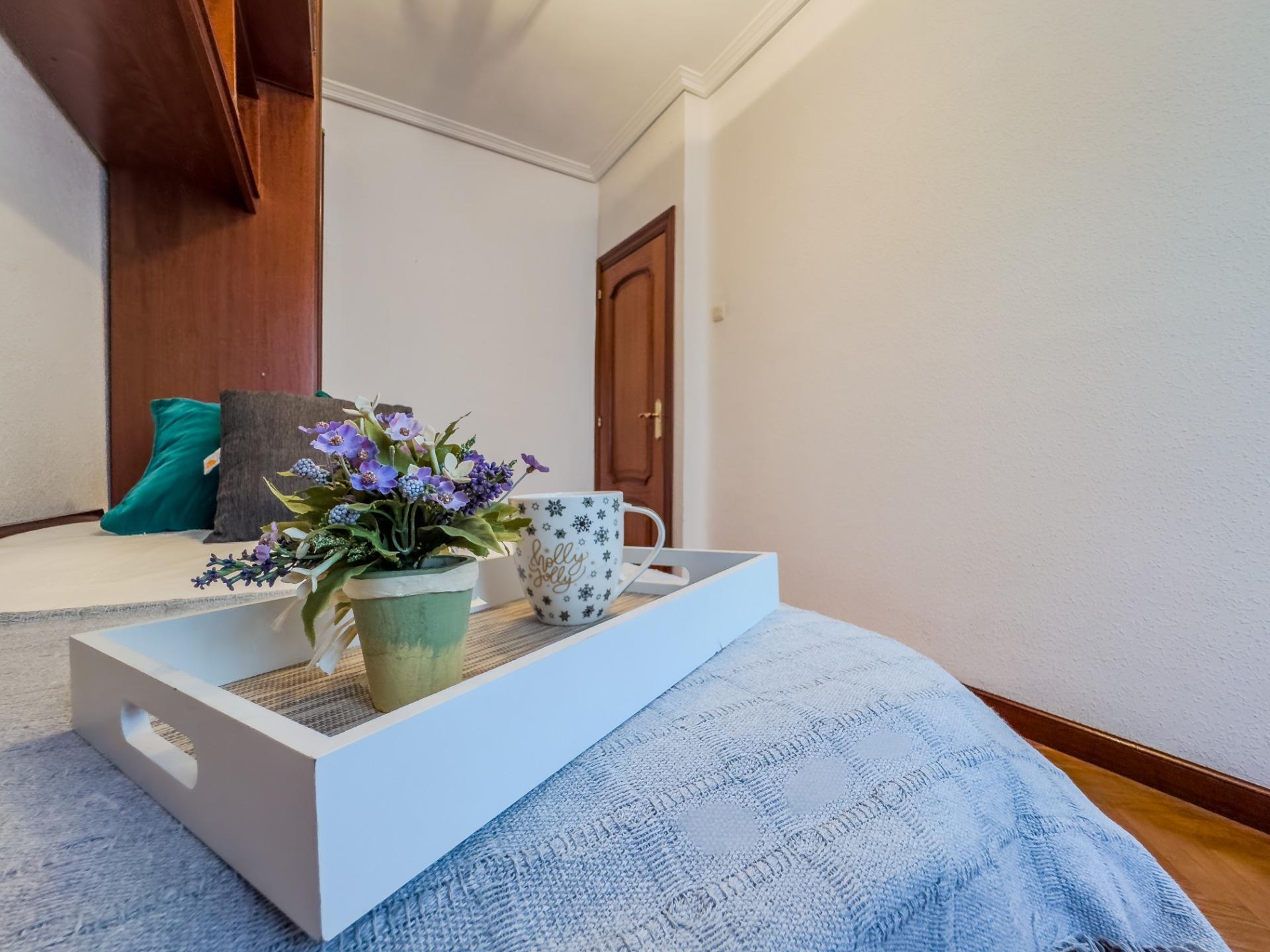 Pisos-Venta-Santander-1766690-Foto-18