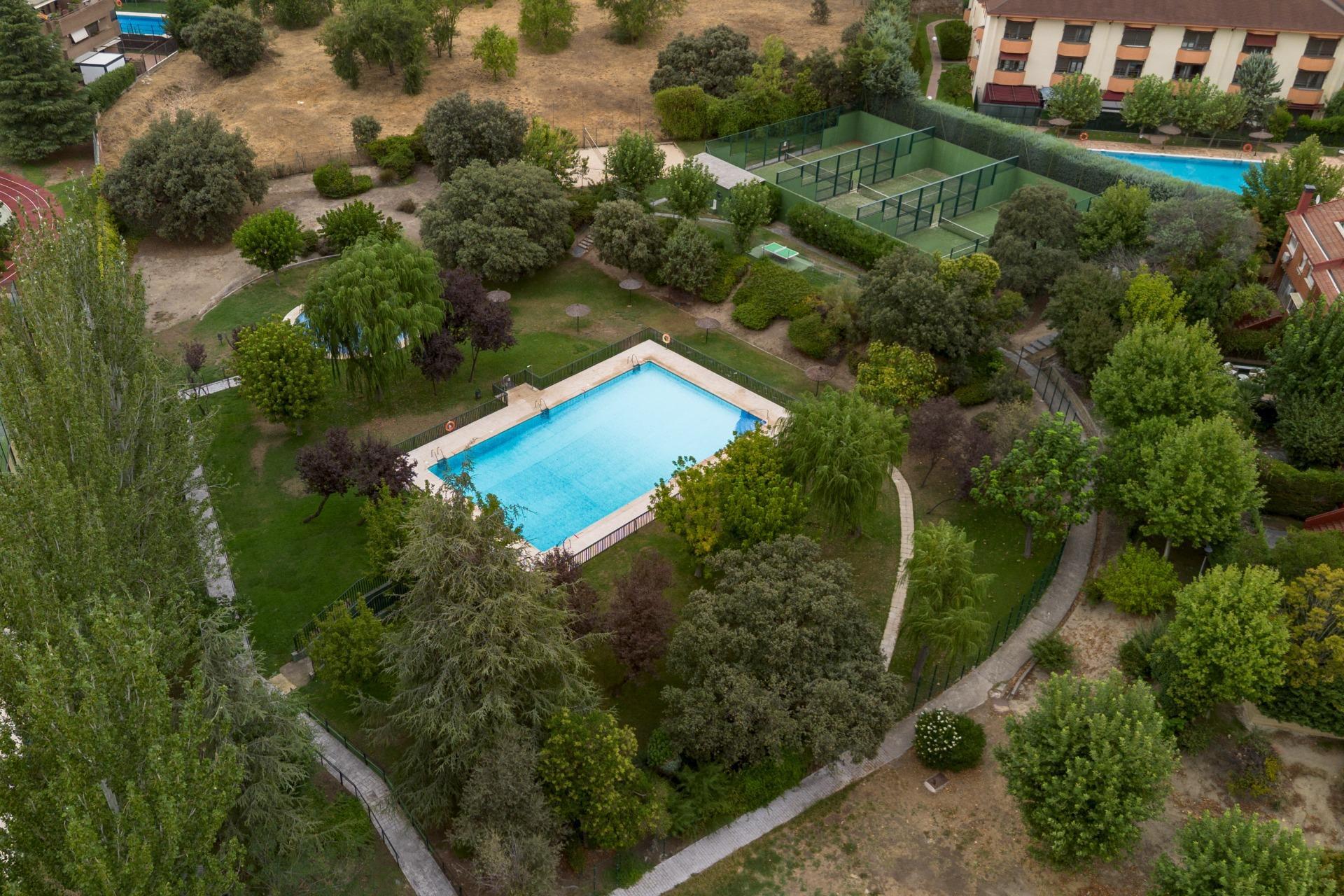 Casas o chalets-Venta-Las Rozas de Madrid-1833085-Foto-42