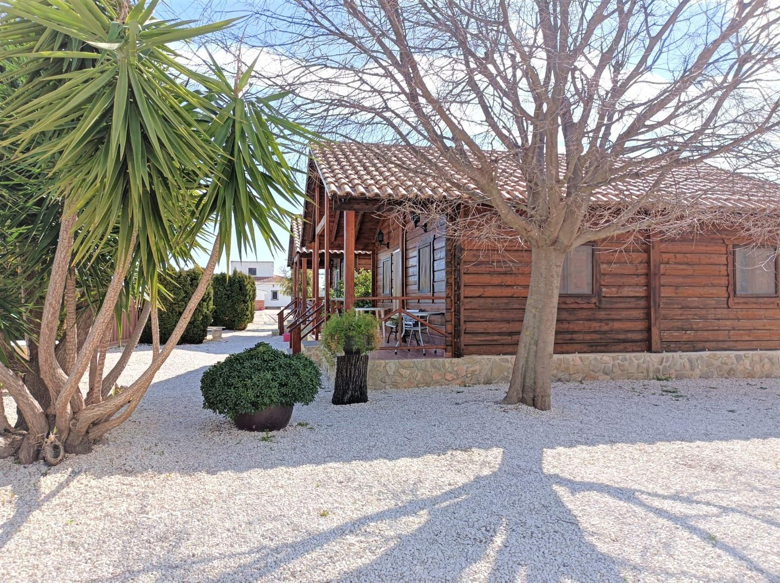 Pisos-Venta-Moratalla-898651-Foto-12