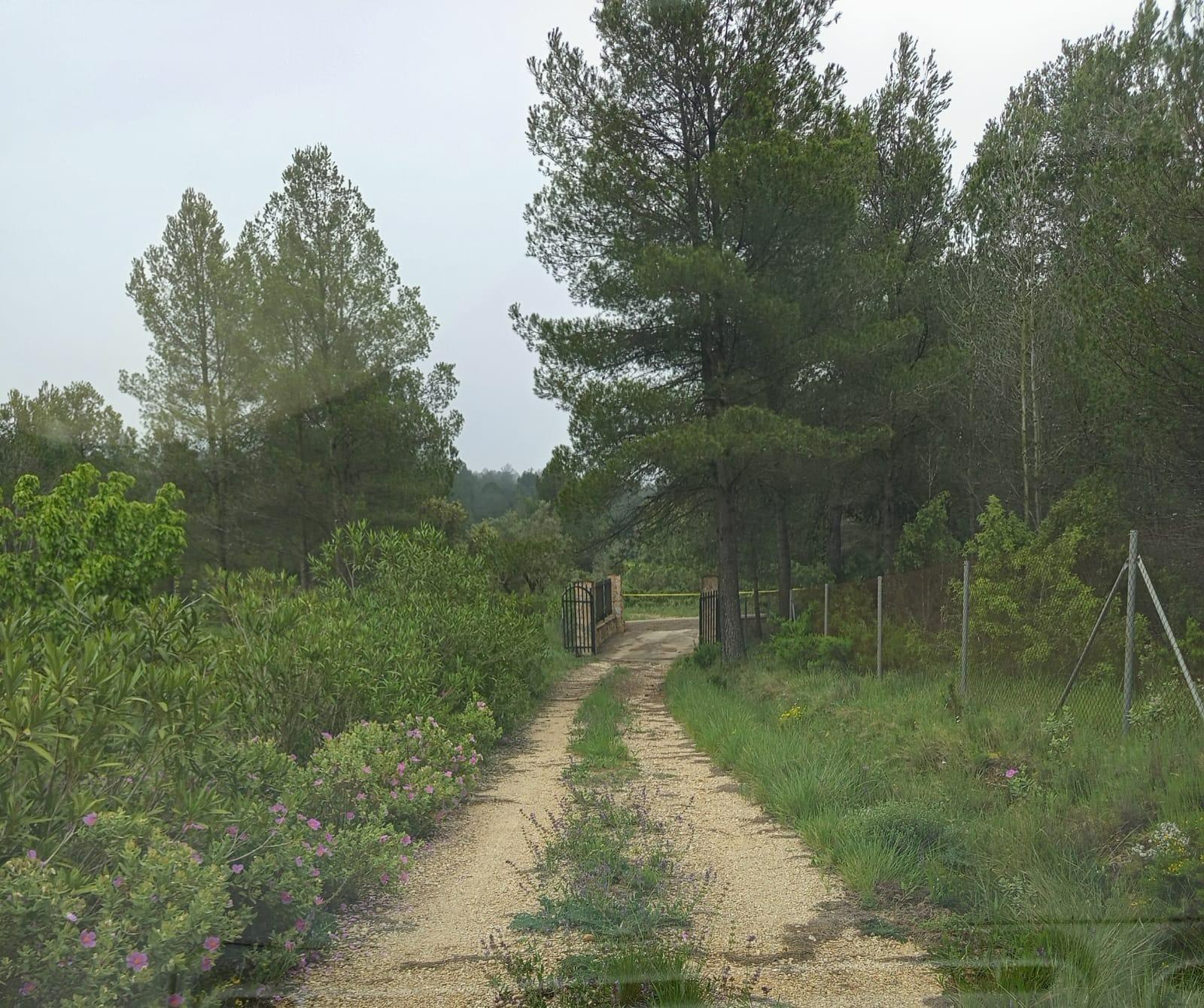 Pisos-Venta-Enguera-1836482-Foto-17