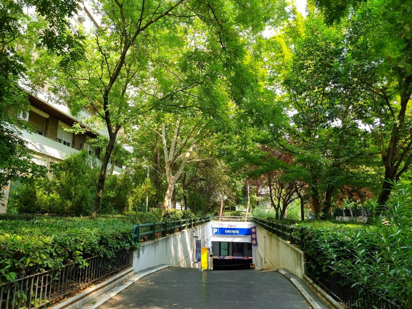 Plaza para coche grande