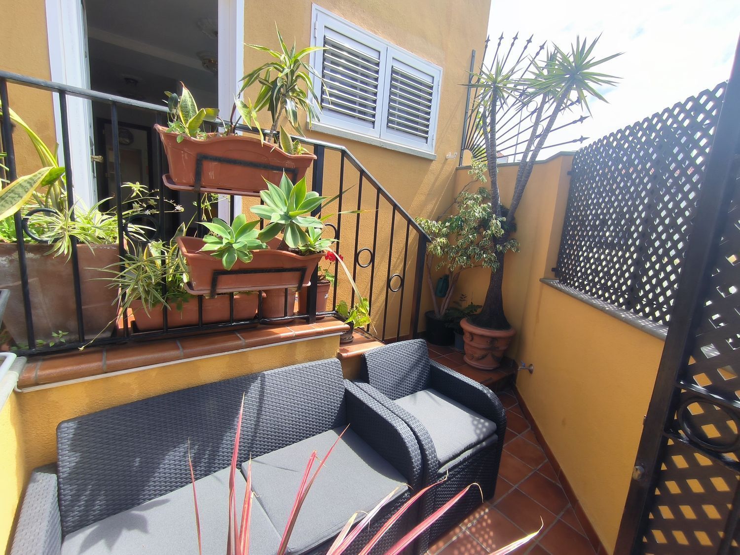 Casas o chalets-Alquiler-Las Palmas de Gran Canaria-1833340-Foto-3