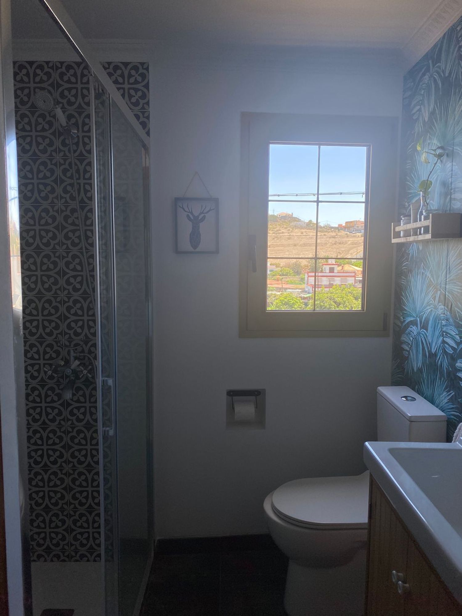 Pisos-Alquiler-Las Palmas de Gran Canaria-1833355-Foto-21