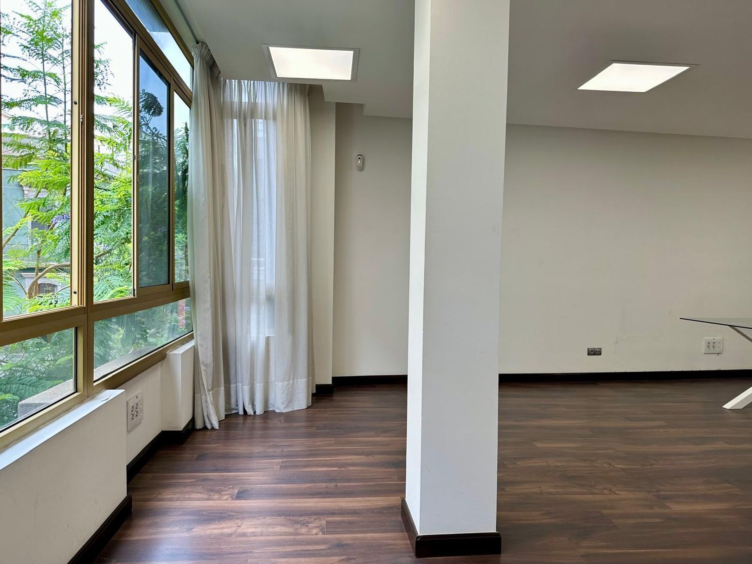 Oficinas-Alquiler-Las Palmas de Gran Canaria-823522-Foto-9