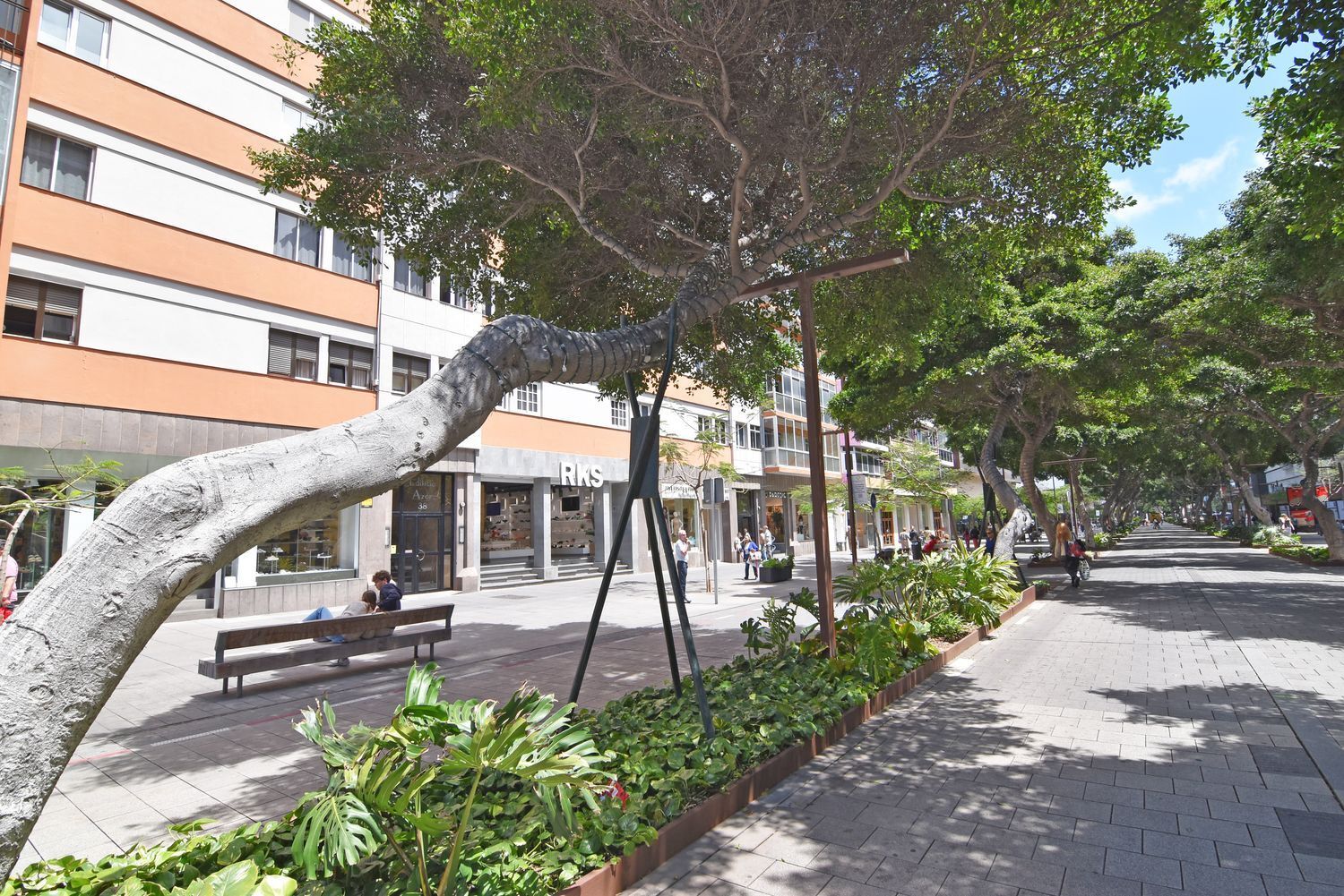 Pisos-Venta-Las Palmas de Gran Canaria-1717664-Foto-41