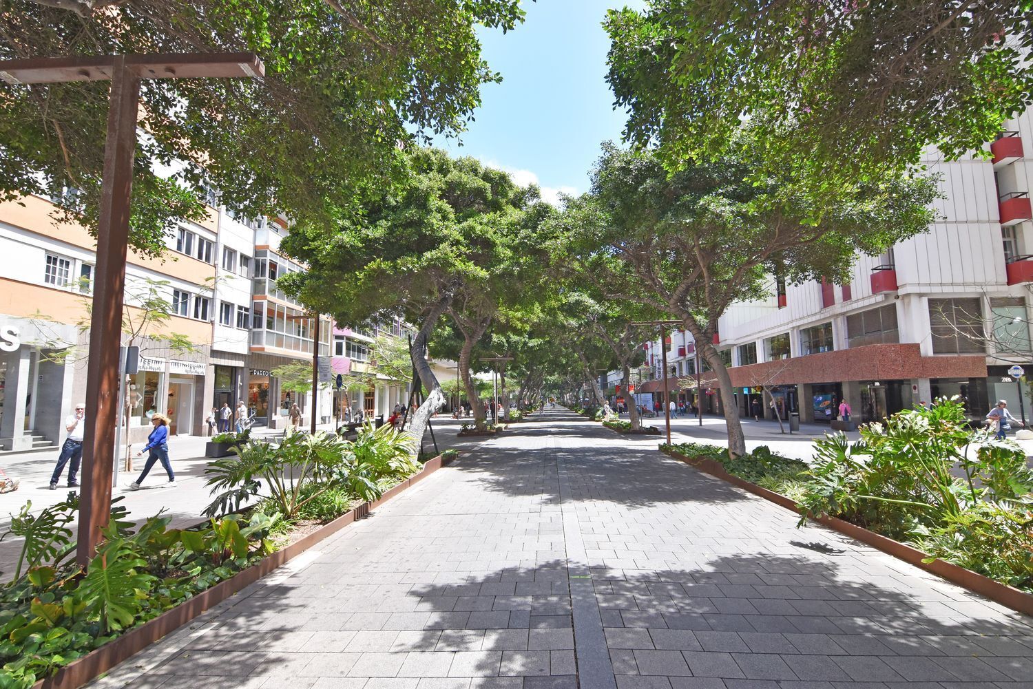 Pisos-Venta-Las Palmas de Gran Canaria-1717664-Foto-42