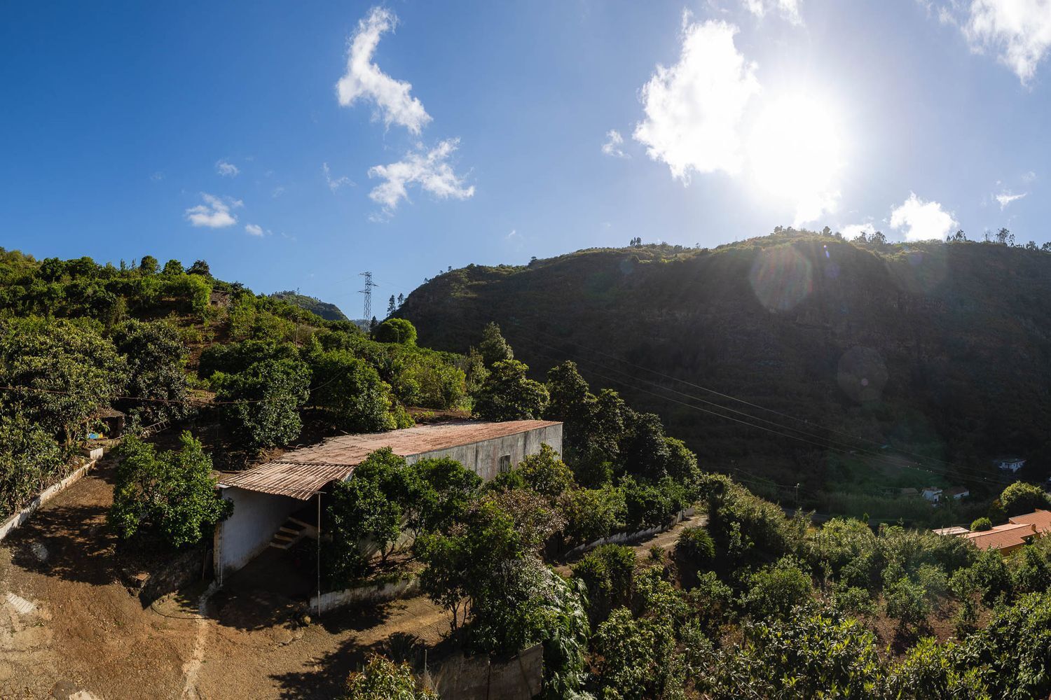 Casas o chalets-Venta-Firgas-1103202-Foto-4