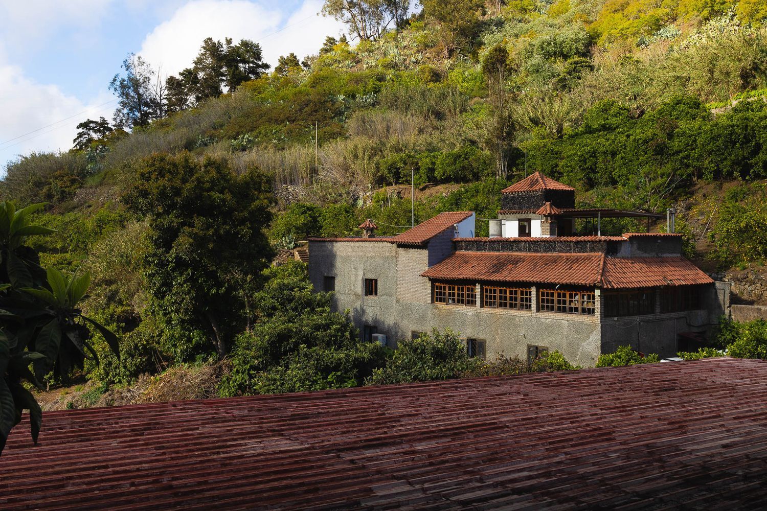 Casas o chalets-Venta-Firgas-1103202