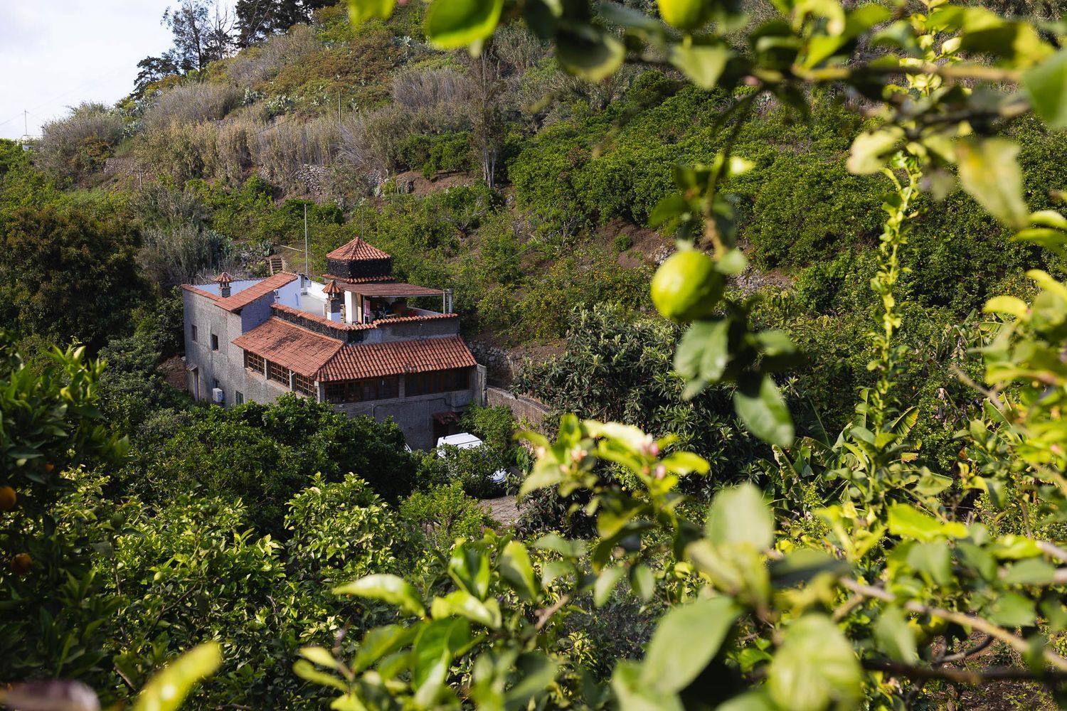 Casas o chalets-Venta-Firgas-1103202-Foto-2