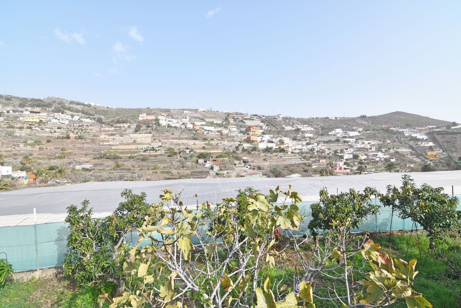 Casas o chalets-Venta-Telde-1506639-Foto-49