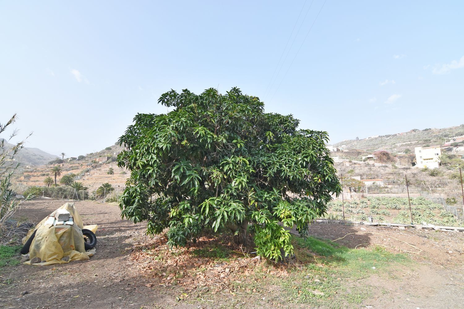 Casas o chalets-Venta-Telde-1506639-Foto-62