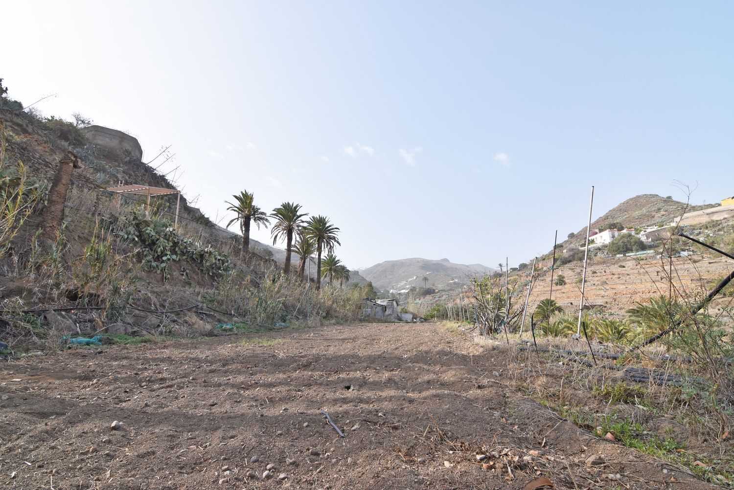Casas o chalets-Venta-Telde-1506639-Foto-66