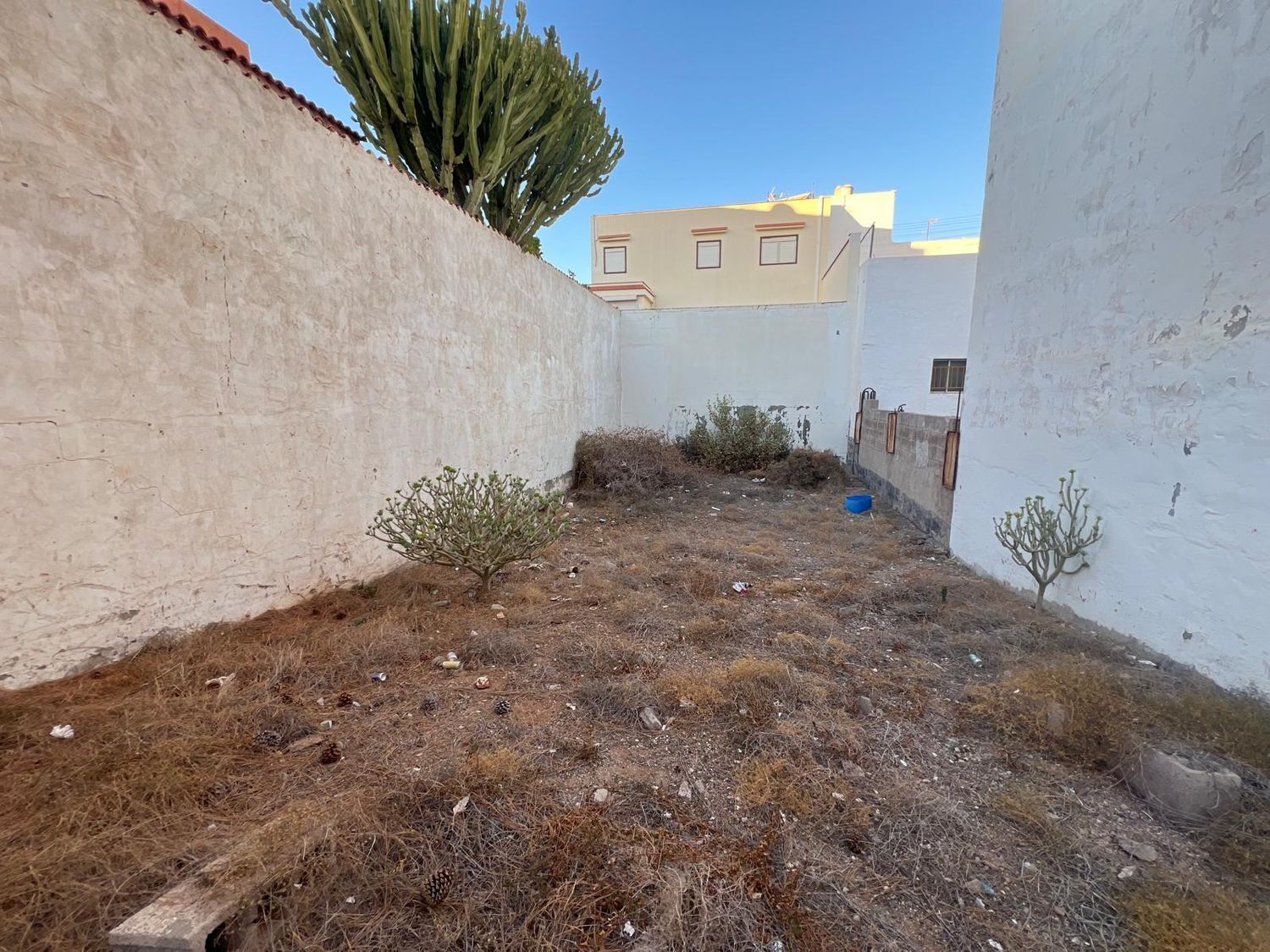 Fincas y solares-Venta-AgÃ¼imes-1413384-Foto-2