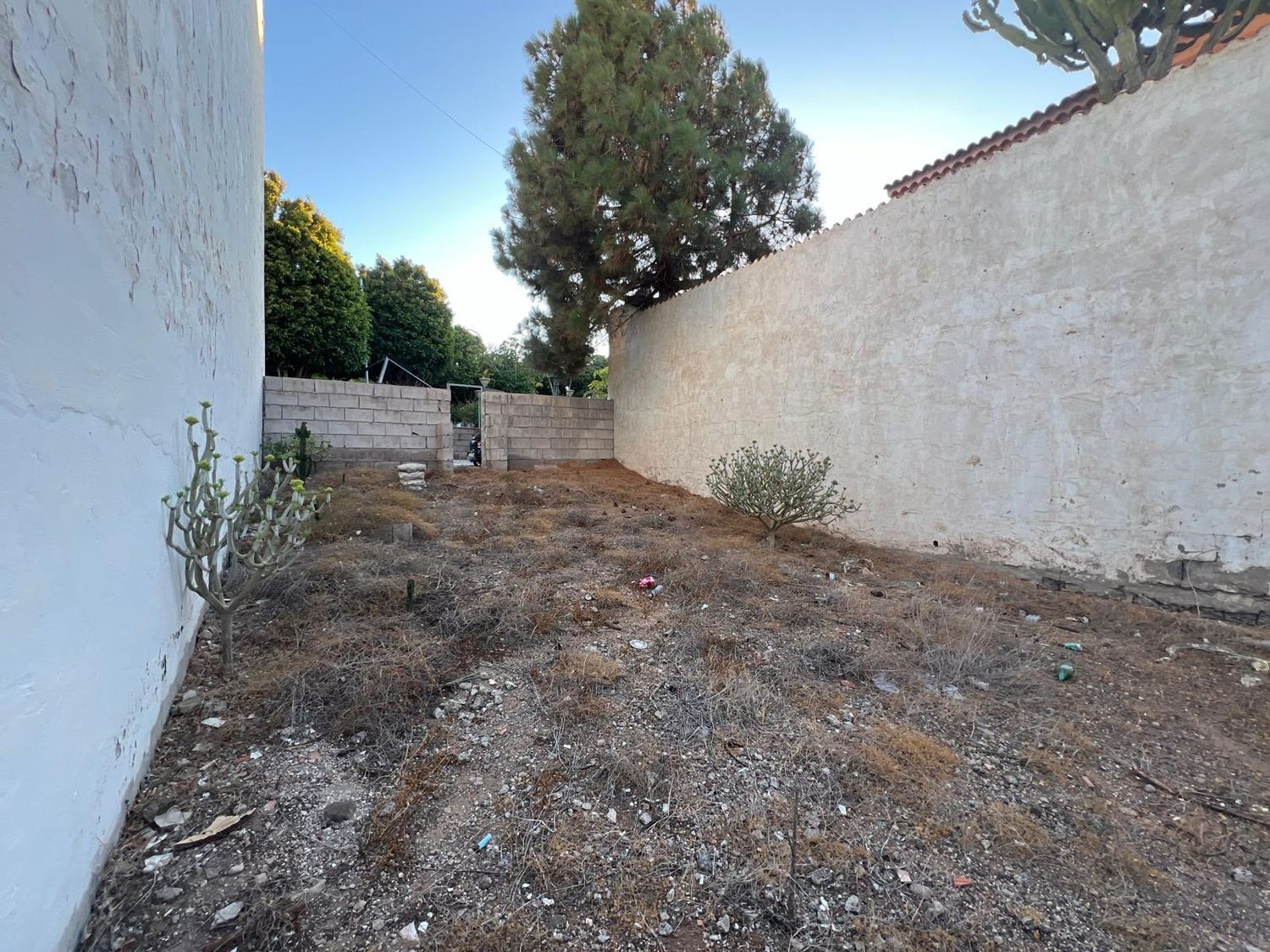 Fincas y solares-Venta-AgÃ¼imes-1413384-Foto-4