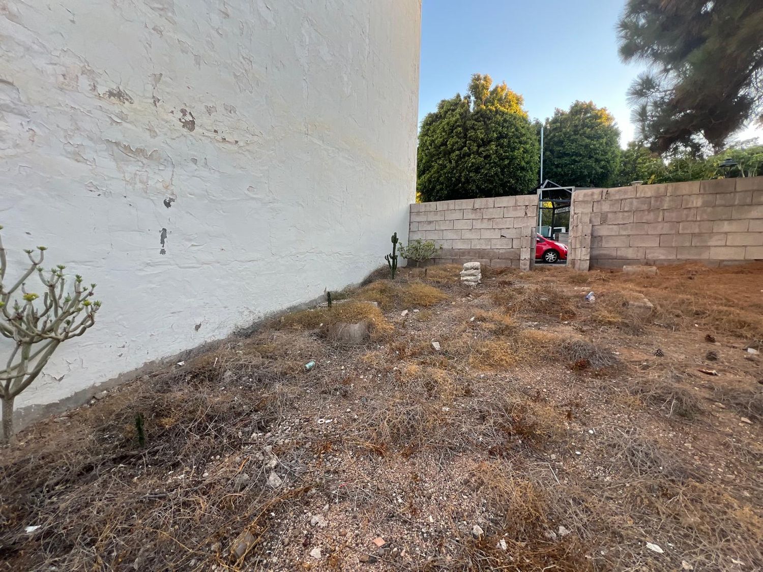 Fincas y solares-Venta-AgÃ¼imes-1413384-Foto-6
