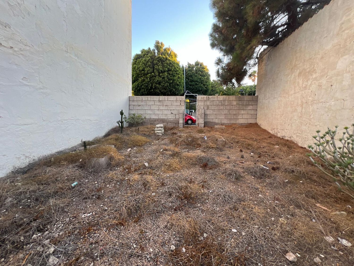 Fincas y solares-Venta-AgÃ¼imes-1413384-Foto-10