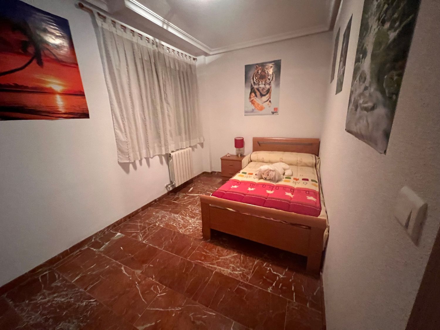 Pisos-Venta-Puertollano-1095513-Foto-50
