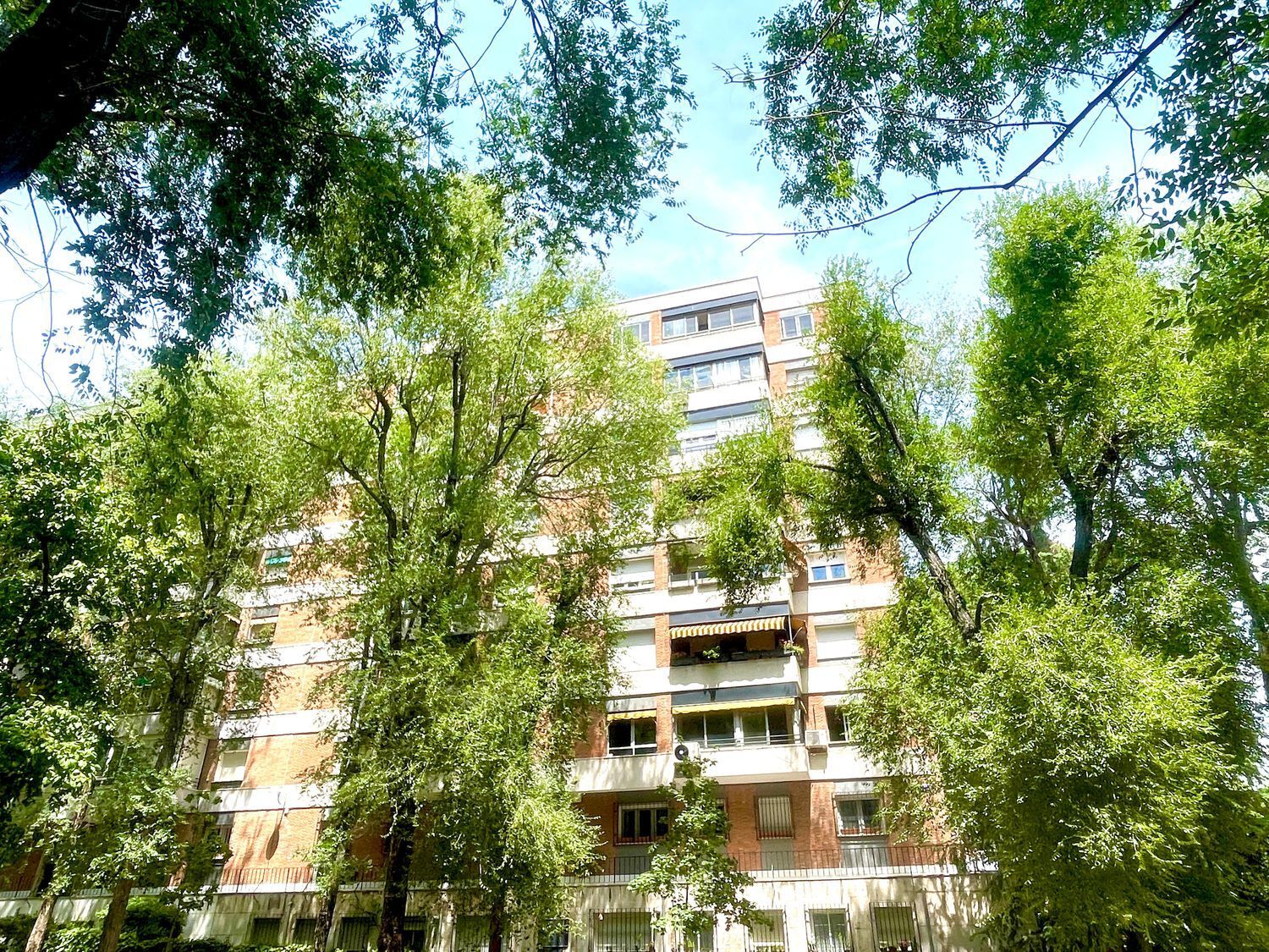 Pisos-Alquiler-Madrid-1833376
