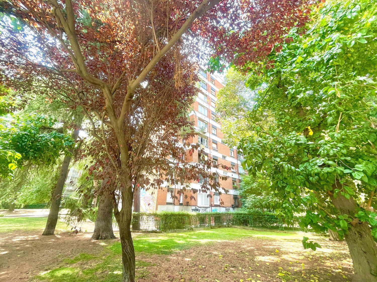 Pisos-Alquiler-Madrid-1833376-Foto-3