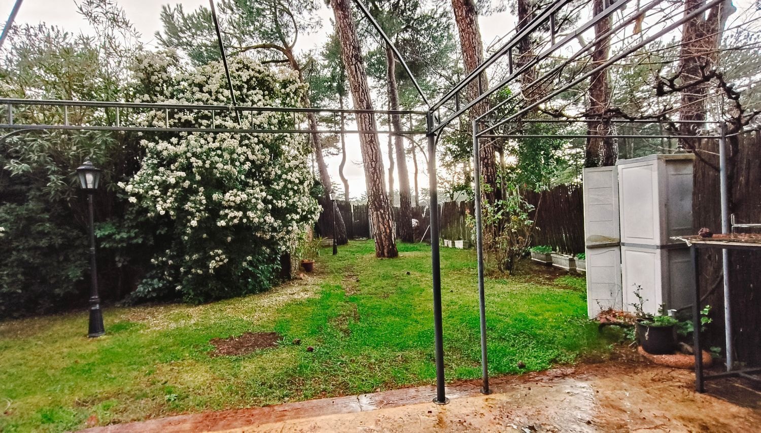 Casas o chalets-Venta-Collado Villalba-1680495-Foto-24