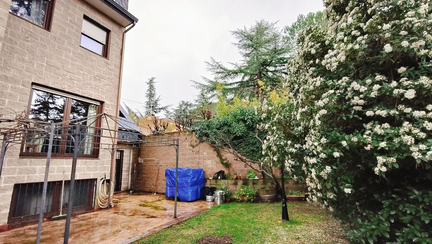 Casas o chalets-Venta-Collado Villalba-1680495-Foto-26