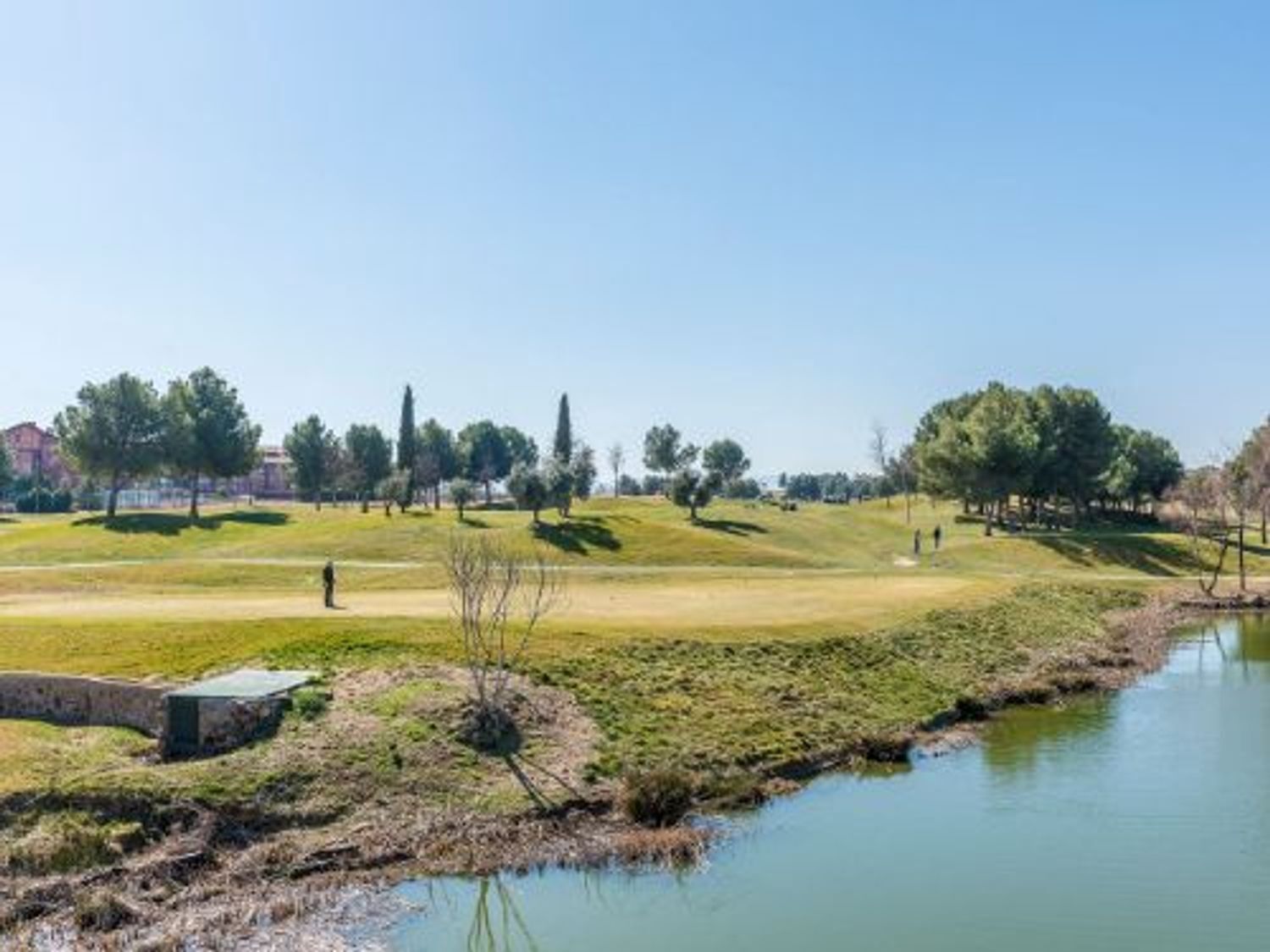 Fincas y solares-Venta-Layos-1768450-Foto-15