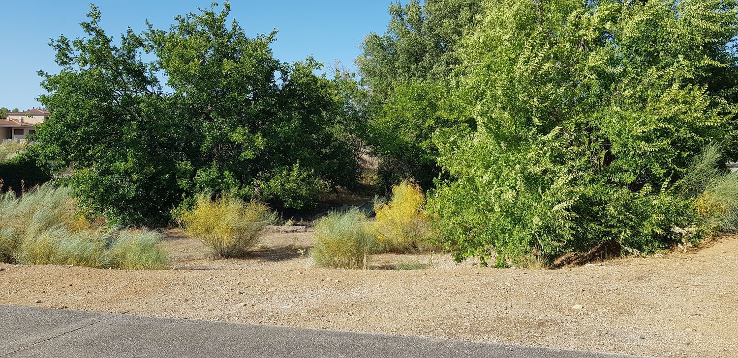Fincas y solares-Venta-Layos-1766702-Foto-3