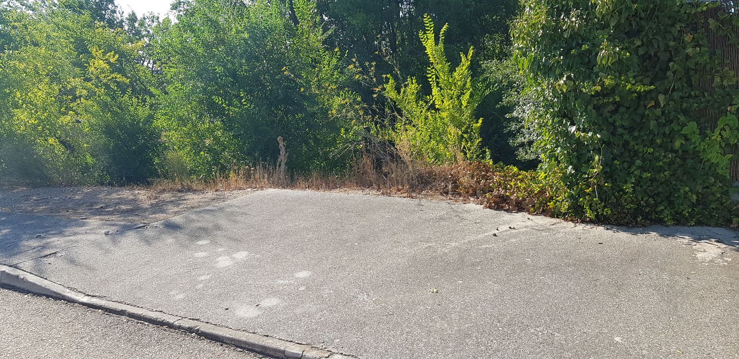 Fincas y solares-Venta-Layos-1766702-Foto-9