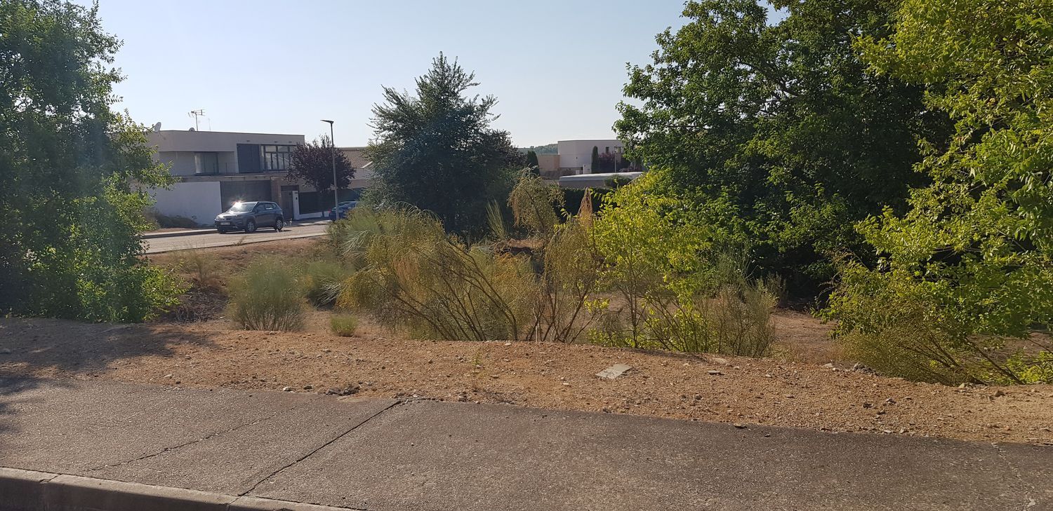 Fincas y solares-Venta-Layos-1766702-Foto-15