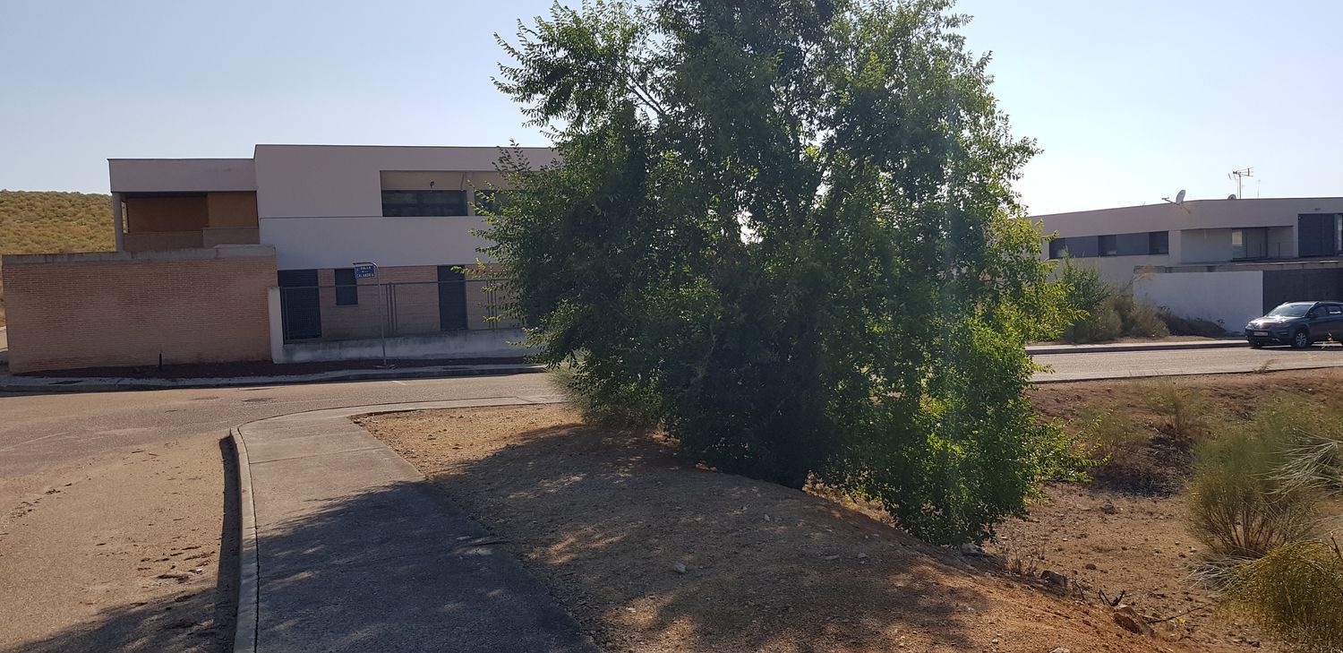 Fincas y solares-Venta-Layos-1766702-Foto-16