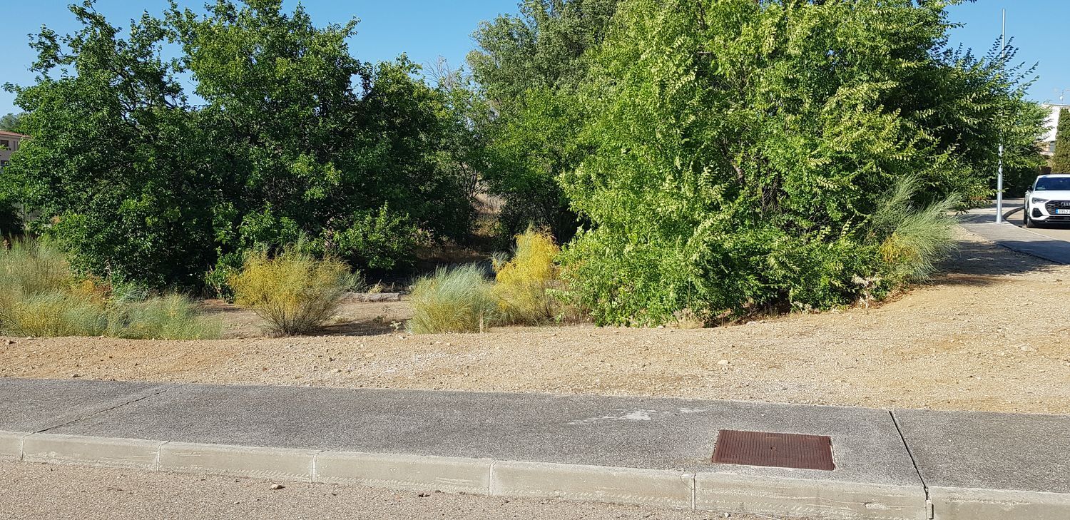 Fincas y solares-Venta-Layos-1766702-Foto-18