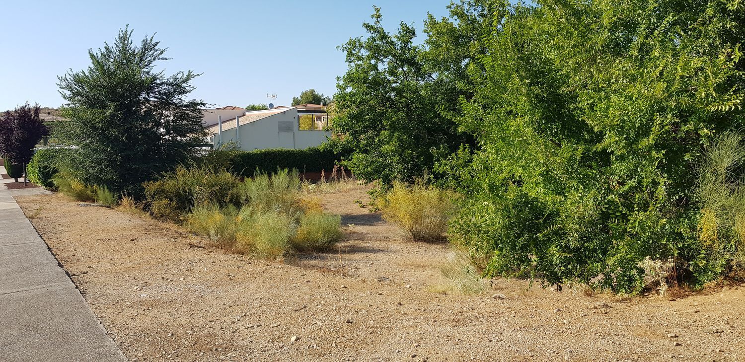Fincas y solares-Venta-Layos-1766702-Foto-17