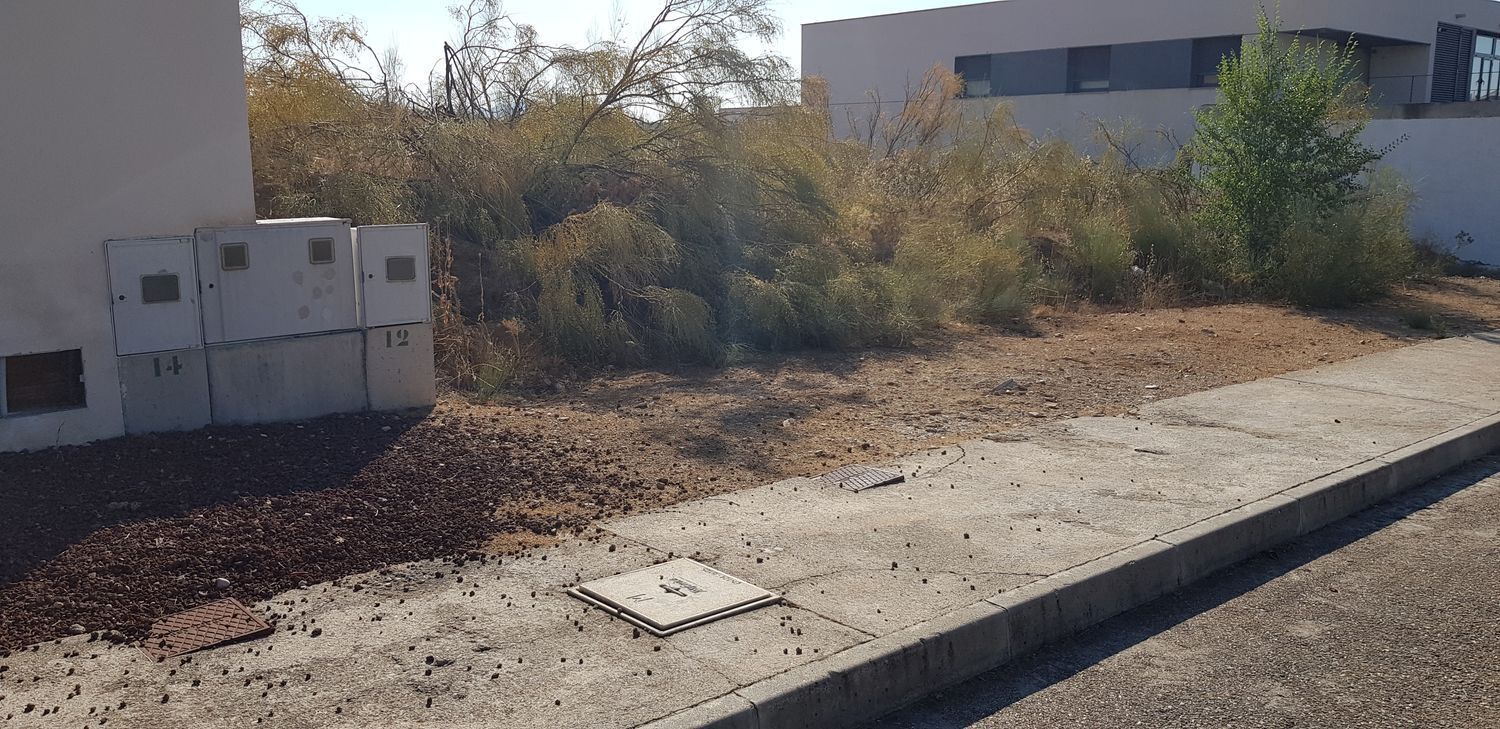 Fincas y solares-Venta-Layos-1766702-Foto-20