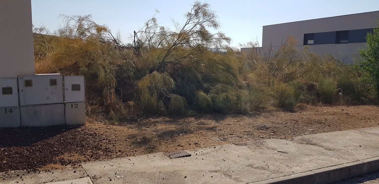 Fincas y solares-Venta-Layos-1766702-Foto-21