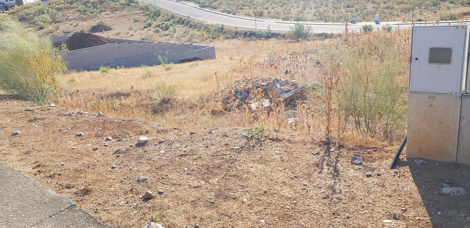 Fincas y solares-Venta-Layos-1766702-Foto-26