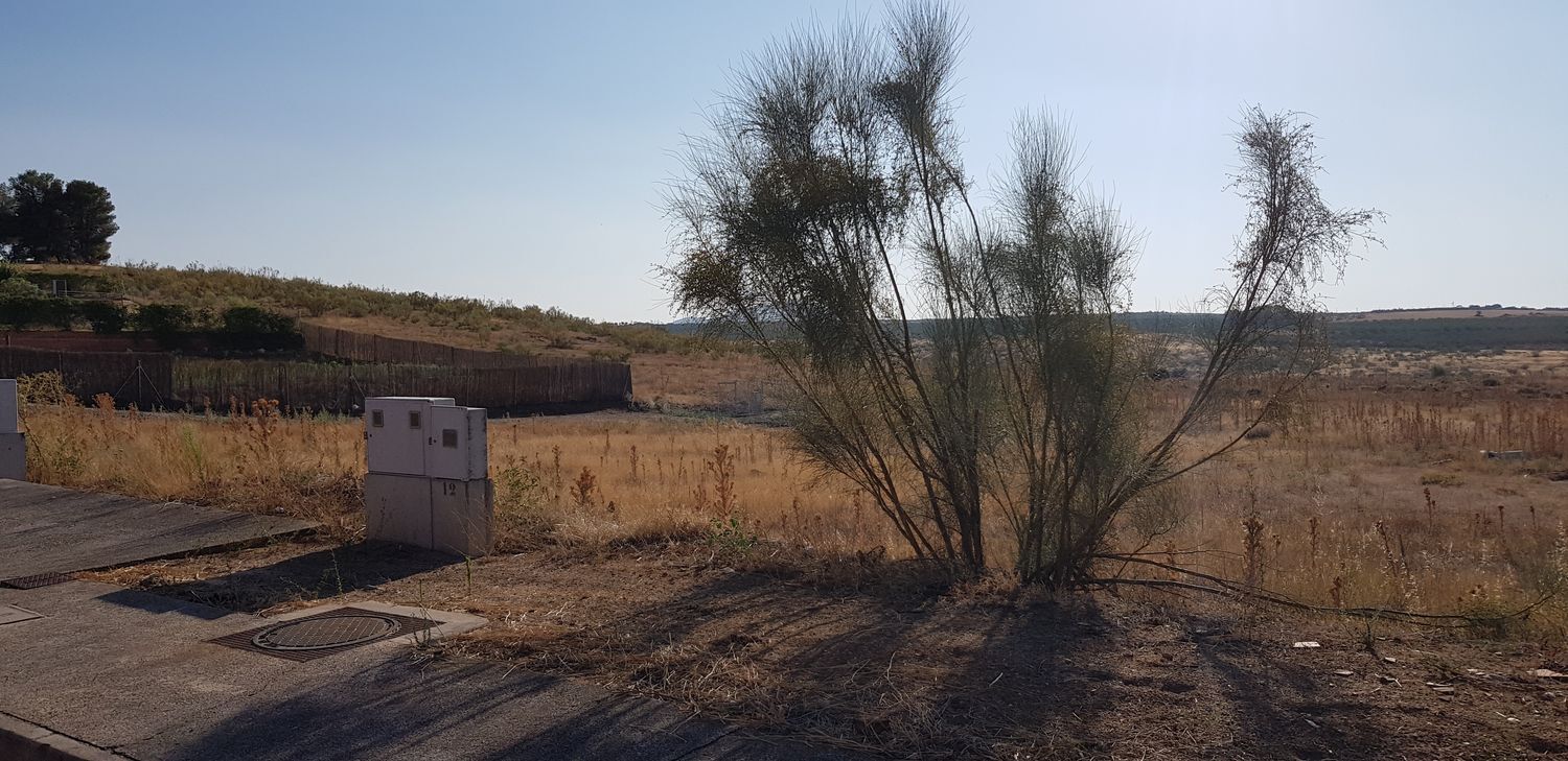 Fincas y solares-Venta-Layos-1766702-Foto-38