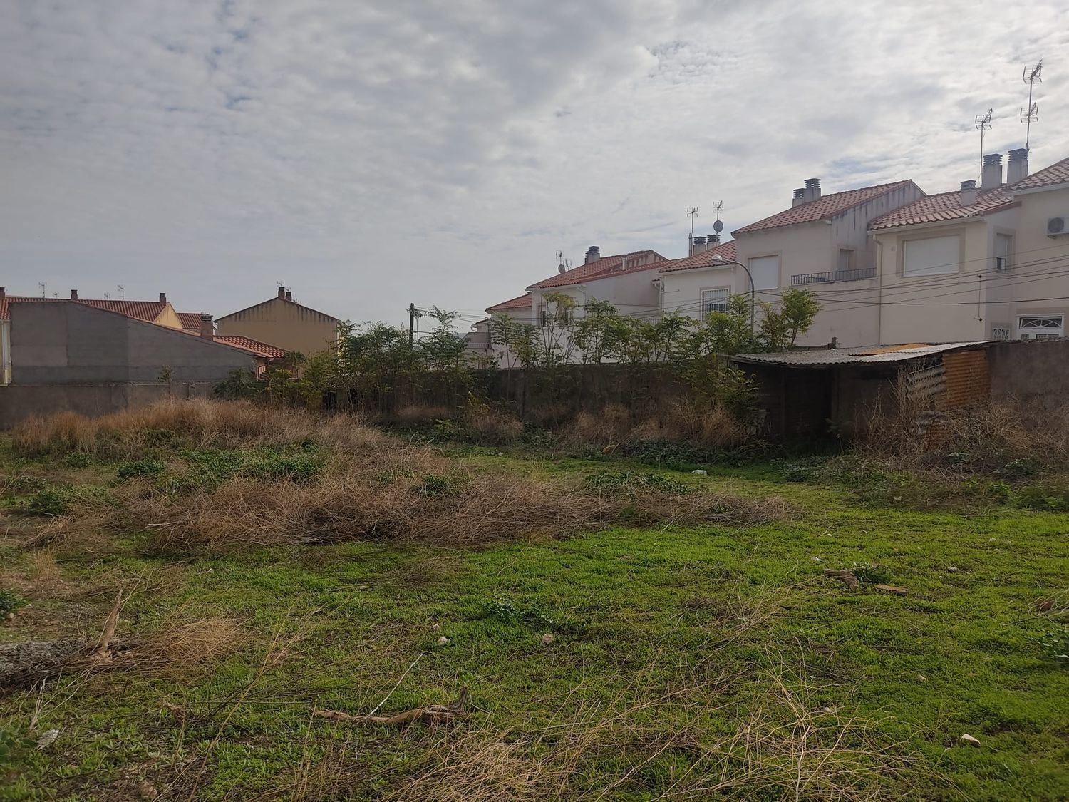 Fincas y solares-Venta-Huerta de ValdecarÃ¡banos-1504253-Foto-4