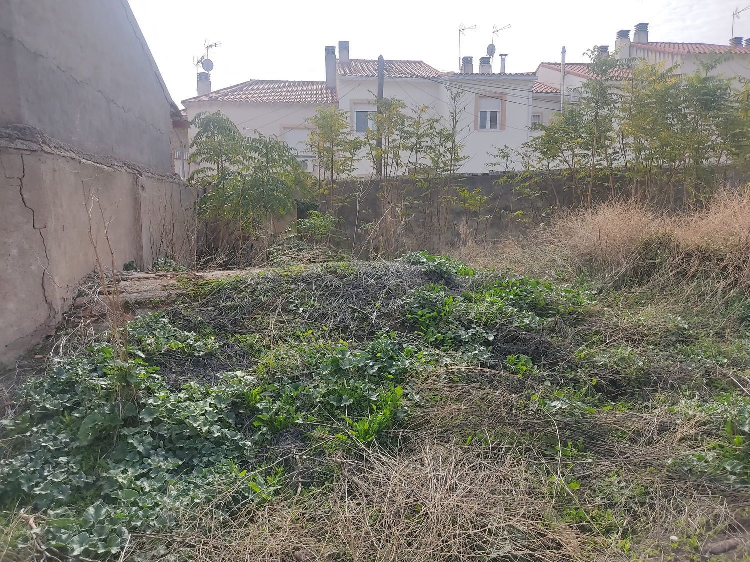 Fincas y solares-Venta-Huerta de ValdecarÃ¡banos-1504253-Foto-11