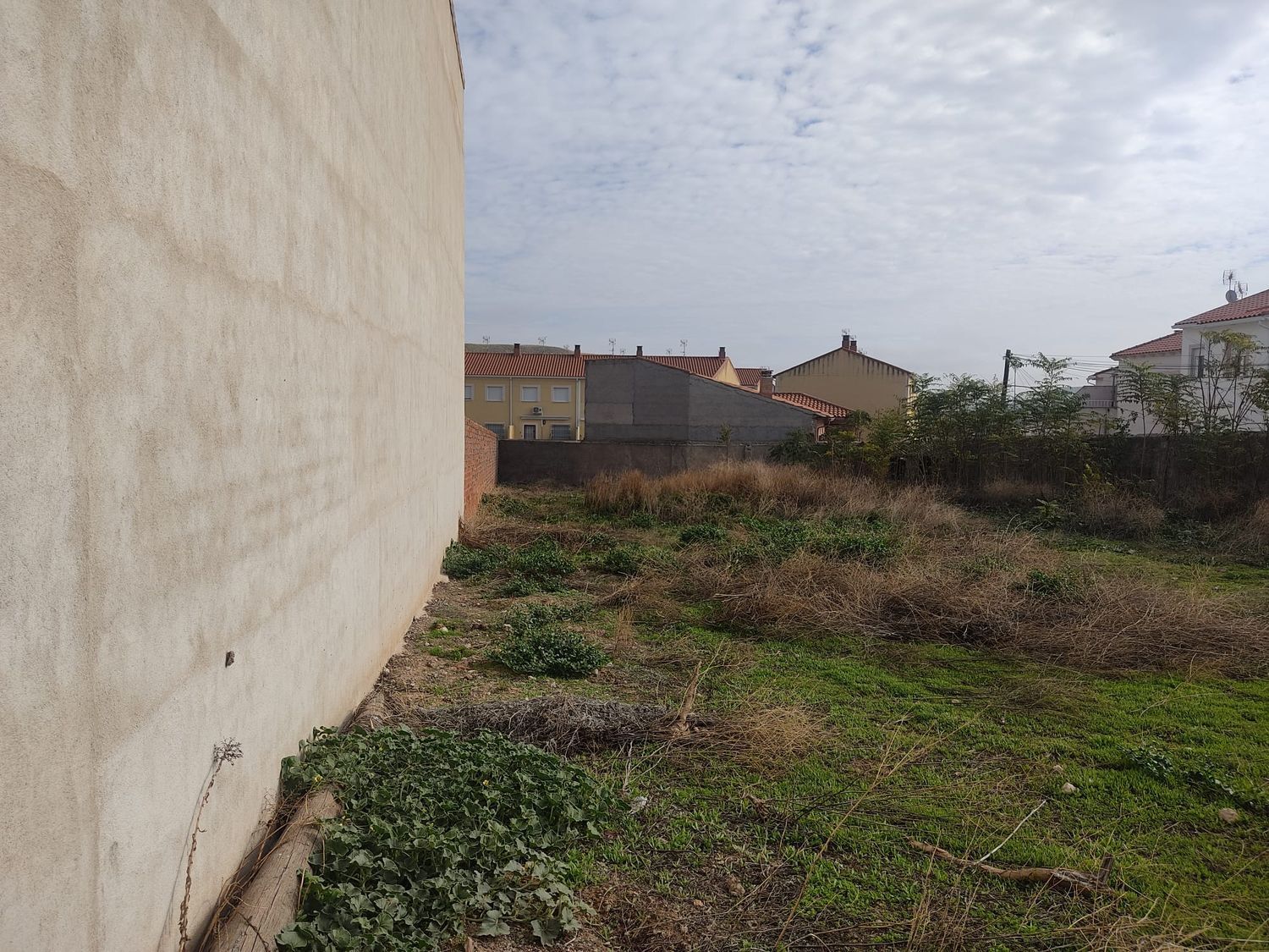 Fincas y solares-Venta-Huerta de ValdecarÃ¡banos-1504253-Foto-6