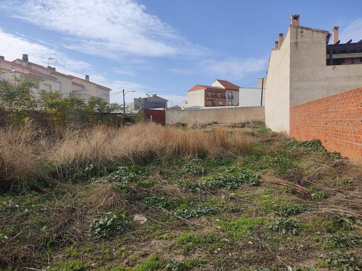 Fincas y solares-Venta-Huerta de ValdecarÃ¡banos-1504253-Foto-10
