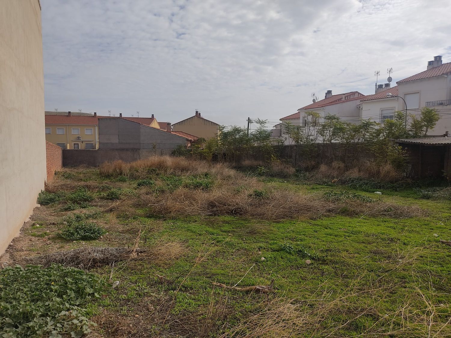 Fincas y solares-Venta-Huerta de ValdecarÃ¡banos-1504253-Foto-9
