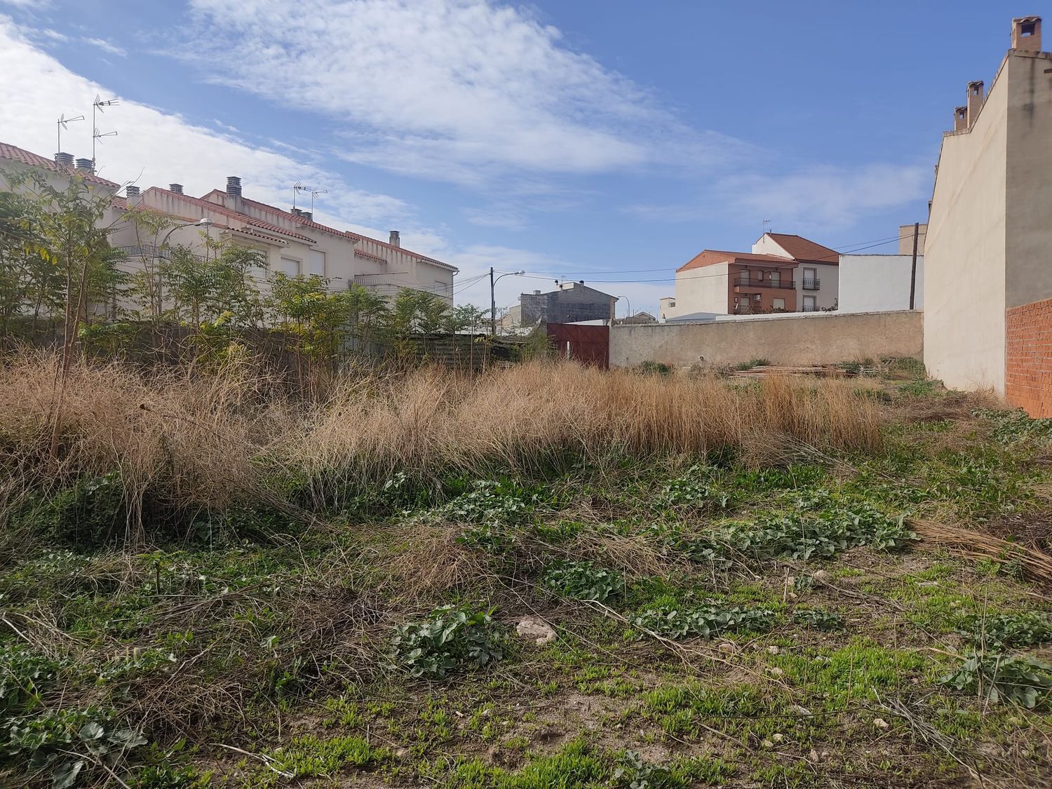 Fincas y solares-Venta-Huerta de ValdecarÃ¡banos-1504253-Foto-13