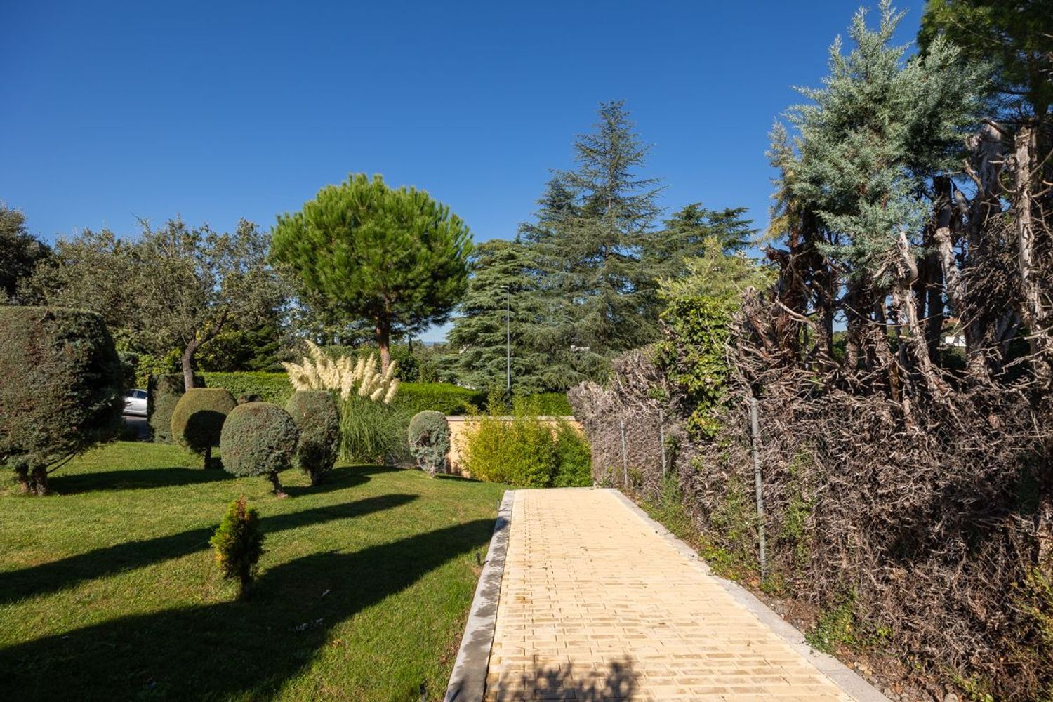 Casas o chalets-Venta-Las Rozas de Madrid-1002883-Foto-40
